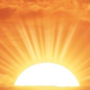 Meet your Posher, Tori